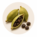 Cardamom