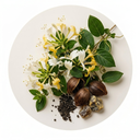 Honeysuckle and Musk.