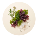 Seaweed, Calone and Hedione