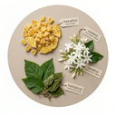 Pineapple, Jasmine, Patchouli.